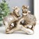 Polystone souvenir "Elephants on stone in blankets with flowers" 14.5x3.8x13 cm