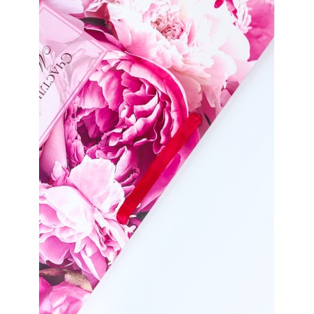 Gift Laminated Horizontal Gift Moments, XL 49 × 40 × 19 cm-3