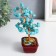 Bonsai souvenir "Cash tree with turquoise" 60 stones 16x7.5x5.5 cm