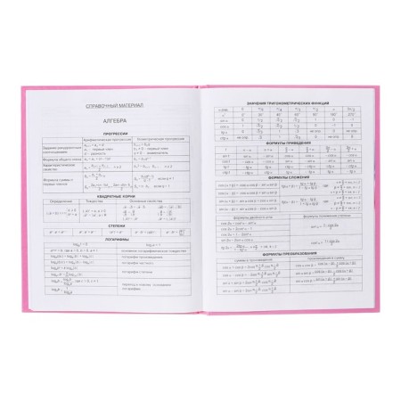Diary 5-11 class Cat, 48 sheets, solid cover, glossy lamination, foil embossing, offset block-8