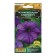Petunia flowers "cascading slalom", f1, blue, 10 pcs