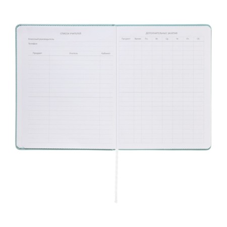 Universal diary for grade 1-11 Modern Concept, solid cover, artificial leather, silkography, liesse, 80 g/m2-6