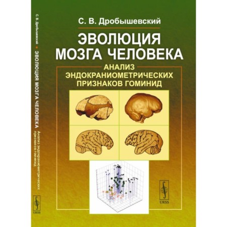 The evolution of the human brain. Analysis of endocraneometric features of hominids. Drobyshevsky S.V.