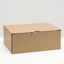 Penal box, brown, 26 x 19 x 10 cm