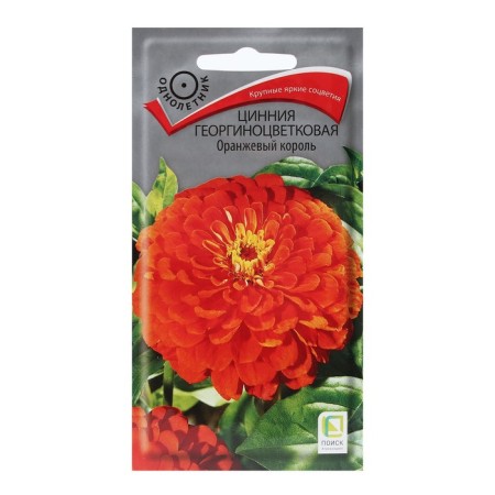 Seeds of Tsinniy flowers daily "Orange King" 0.4 g