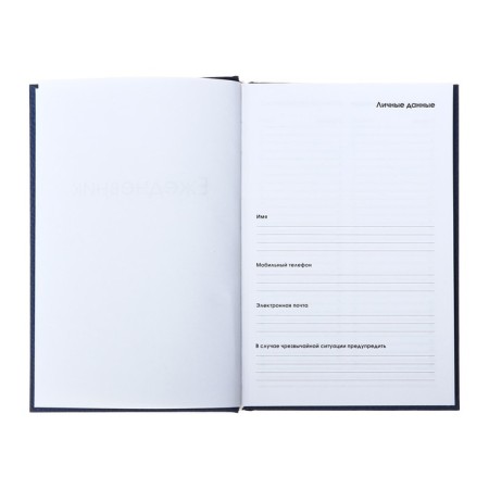 Diary of Leduced A5, 128 sheets "Favorite Diary", cover 7BC with foam rubber, lamination Soft Touch, foil embossing, block 70 g/m2-2