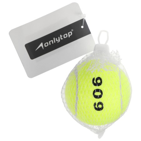 Bolshoi Tennis Onlytop No. 909, training-1