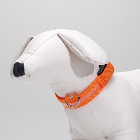 Collar with backlight size m, osh 40-48 x 2.5 cm, 3 glow modes Orange-2