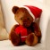 Soft toy "Bear", in the New Year's cap, 20 cm, brown color