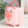 Piggy bank Plastic "Suitcase - Pig" MIX 11x10.5x14 cm
