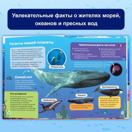 Encyclopedia in solid binding "Underwater World", 48 p.-2