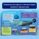 Encyclopedia in solid binding "Underwater World", 48 p.