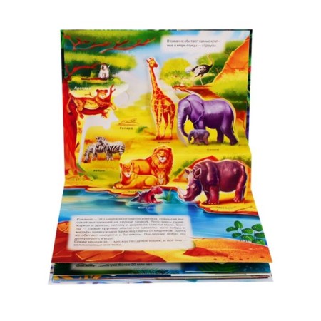Animals-1