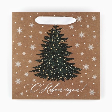 Craft square “New Year's beauty”, 22 x 22 x 11 cm, New Year-6