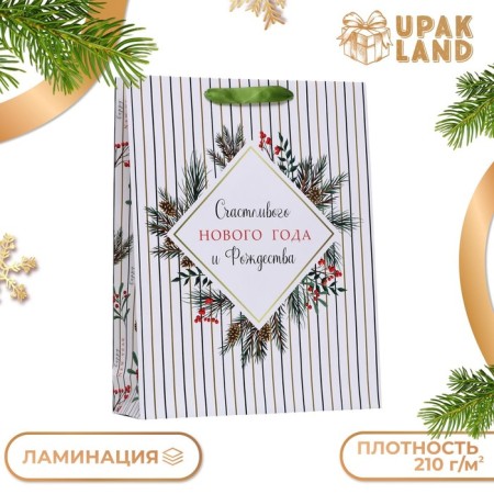Laminated New Year and Christmas Package, 33 x 42 x 10 cm-2