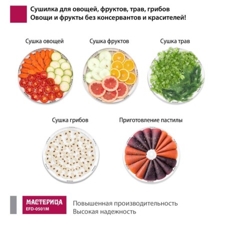 Drywall for vegetables and fruits "Castle EFD-0501M", 125 watts, 5 tiers-4