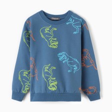 Sweatshirt for boys, jeans/dino color, height 110 cm