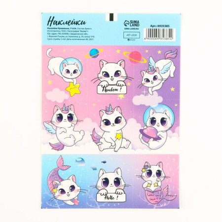 Paper stickers Magic CAT, 11 × 15.5 cm