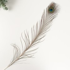 Decorative feather 