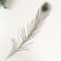 Decorative feather "Peacock" h = 90-100 cm