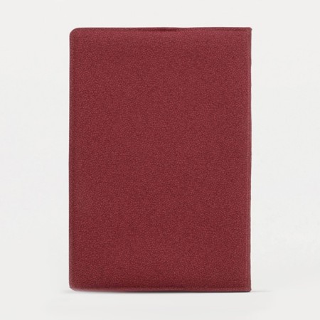Cover for passport, red color-1