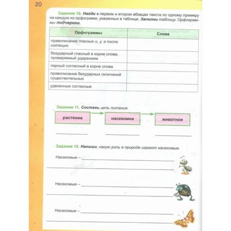 Training apparatus. GEF. Final complex work grade 4. Maricheva S.A.-2