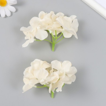Flowers for decorating "hydrangea" white-yellow 10x10 cm-2