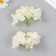 Flowers for decorating "hydrangea" white-yellow 10x10 cm