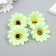 A bud on the leg for decorating "Chrysanthemum-facel green" d = 5 cm