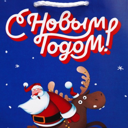 Laminated vertical package “I hurry to you”, S 12 x 15 x 5.5 cm, New Year-5