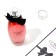 Perfume Water Women's Coral Party (based on Mon Paris), 100 ml
