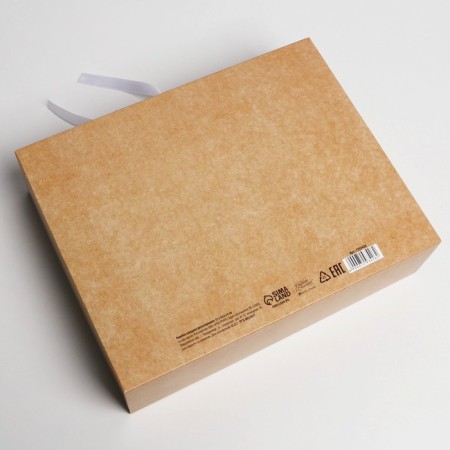 Bearbox Gift Two -way folding, packaging, “Male”, 31 x 24.5 x 8 cm-3