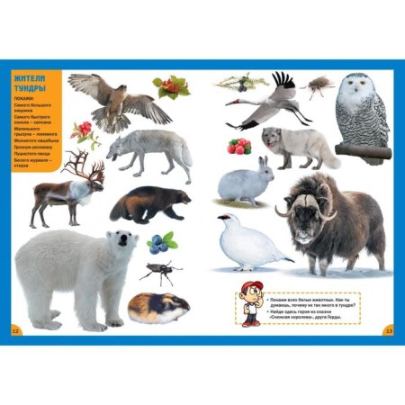 Animals. For children from 3 to 6 years old-2