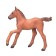 Figure Konik "Arab foal, red suit"