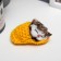 Fluffy cat in a slipper, mix