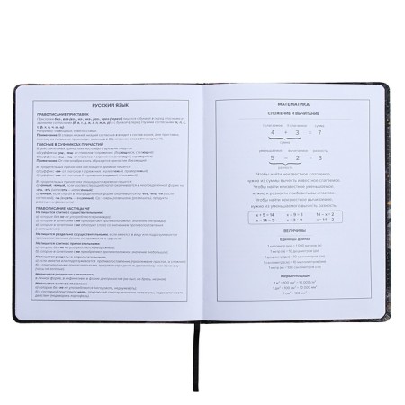 Universal Diary Grade 1-11, 48 sheets "Break the Rules", a solid cover of artificial leather, lies, an offset unit-12