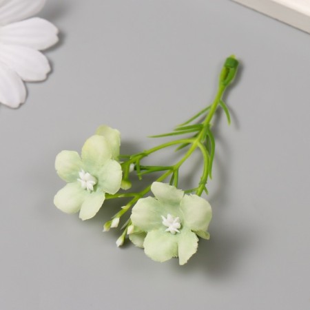 Flowers for decorating "Frig apple" white-green 8 cm-1