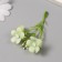 Flowers for decorating "Frig apple" white-green 8 cm