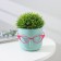 Kashpo for flowers with an insert “Marie”, 650 ml, D = 11.5 cm, h = 10.5 cm, pistachio color