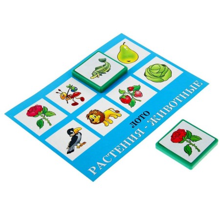 Lotto "plants-liver"-3