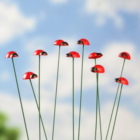 STETER "God's ladybug Darley" 2.5cm, length 25cm, set 10pcs-3
