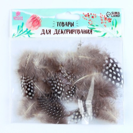 A set of feathers for decor 10 pcs., Size 1 pcs: 5 × 2 cm, brown color with white-1