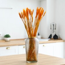 Dry Colossus of wheat, set 50 pcs., Yellow color