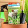 Cucumber seeds "button" F1, Early Nednie, Partenocarpic, 7 pcs