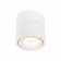 Ceiling lamp ST LUCE. ST652.532.12. 1x12 W, LED, 3000K, 1000 LM, 10x10x10.5 cm, white color