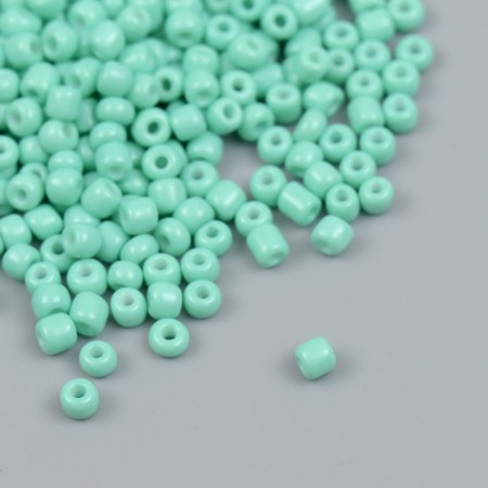 Glass beads 6/0 "turquoise" marshmallow 450 g