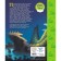 Peter Pan. Wonderful country. Reading book (with classic illustrations)