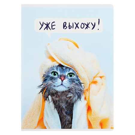 A4 notebook, 60 sheets in a cage, "cats of the cats", cover of shared cardboard, matte lamination, selective varnish, block 60 g/m2