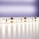 LED tape Maytoni, 12V, IP20, 2835, 9.6W/m, 4000k, 5 m, monochrome glow