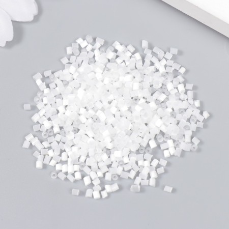 Zlatka beads 10/0, 10 g, No. 0361 White-1